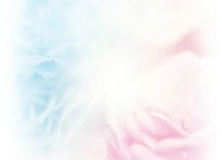 angels (3) angels (3)